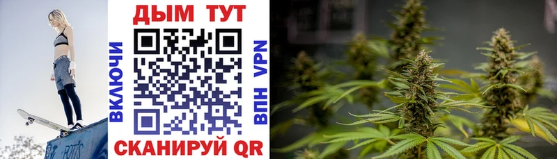 Шишки марихуана план  сколько стоит  mega рабочий сайт  маркетплейс наркотические препараты  Палласовка 
